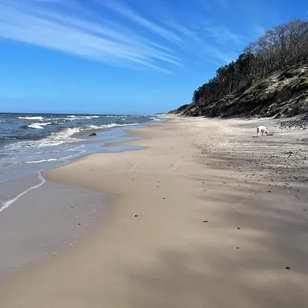 Debina Jagodka * Debina (Ustka)
